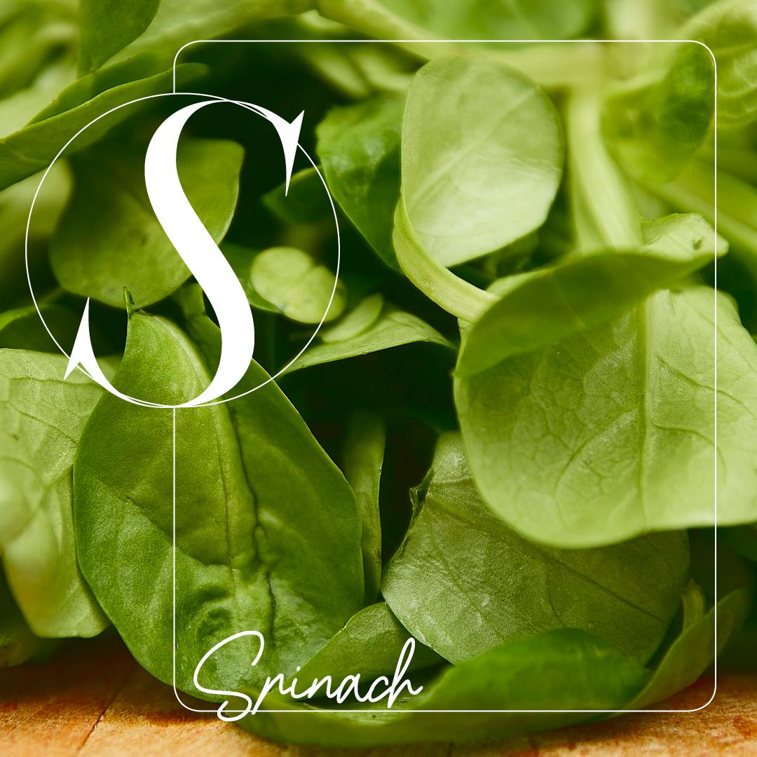 _ur_life_'s tweet photo. #SuperfoodSunday Packed with the goodness of vitamins, protein, calcium and more, spinach benefits your eyesight, brain, heart—the list goes on. We tell you how you can add more of this leafy green to your diet. Full story - https://t.co/Z1DL4ICCTx
.
.
.
.
.
.
#URLife #spinach https://t.co/i2CWof8n2h
