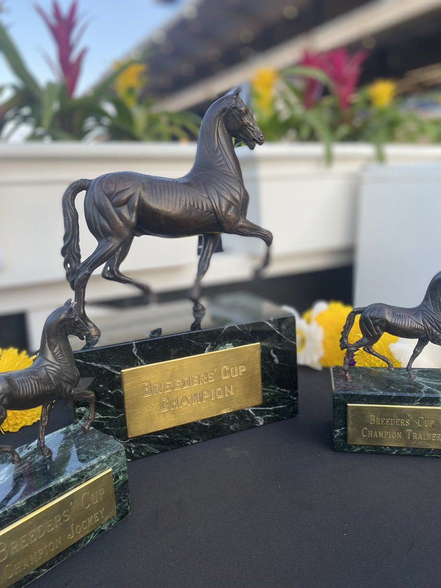 courtneyreid_'s tweet photo. Congratulations to all the 2021 @BreedersCup Champions and participants @DelMarRacing! Thank you for all of the continued support !! #BCWC https://t.co/88V1BjFuFT