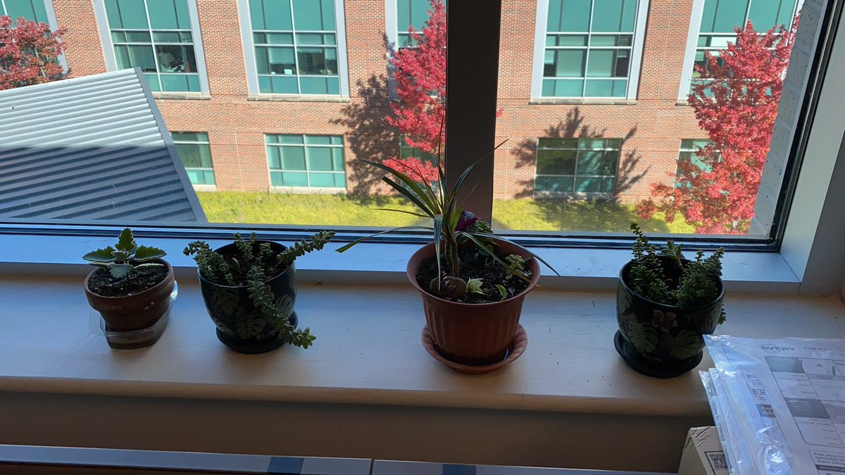 linxuan huo tweet media