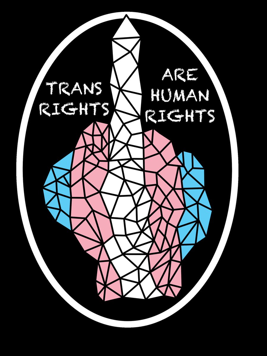 harbingerbri's tweet photo. Made a new #transrights #stickers ! Check them out at https://t.co/xUhC7LPAgR 

#TransIsBeautiful #TransWomenAreWomen #TransLives #art #handmade #contentcreators https://t.co/bSxNeoByrX