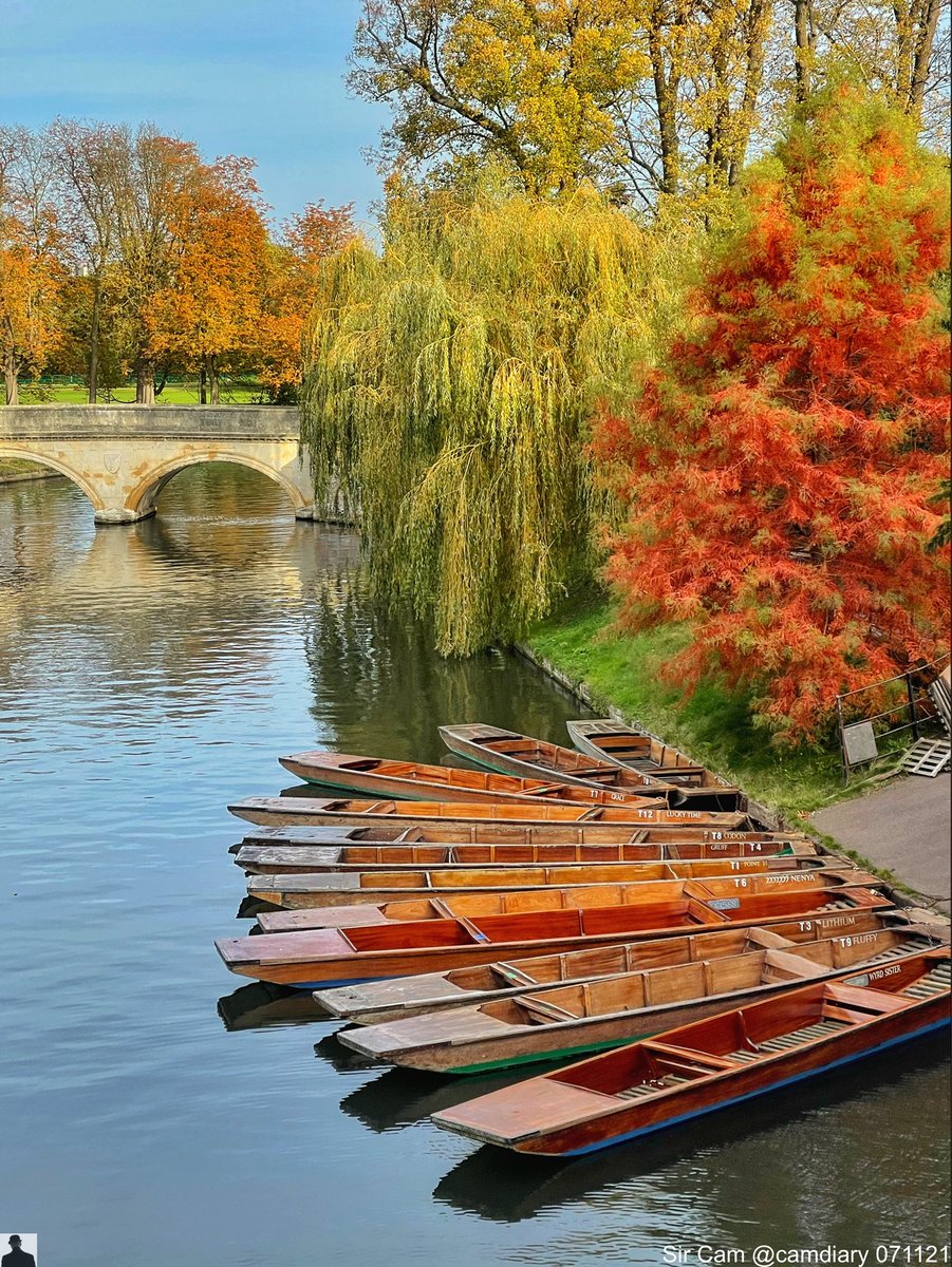 camdiary's tweet photo. Autumn in Cambridge, 7 November 2021. https://t.co/QyvI3PcO3m