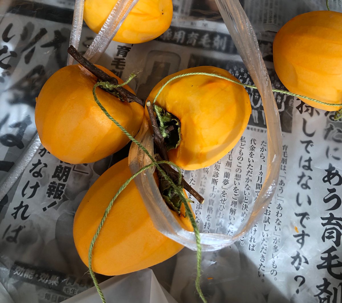 hspfire9's tweet photo. 干柿作りをしました。
皮を剥いて、紐でくくって、燻して干します。

あとは、ころころ向きを変えたり揉んで水分を上手く抜くようにして1ヶ月ほど。

完成が楽しみです😁 https://t.co/jgAj6KLVzy