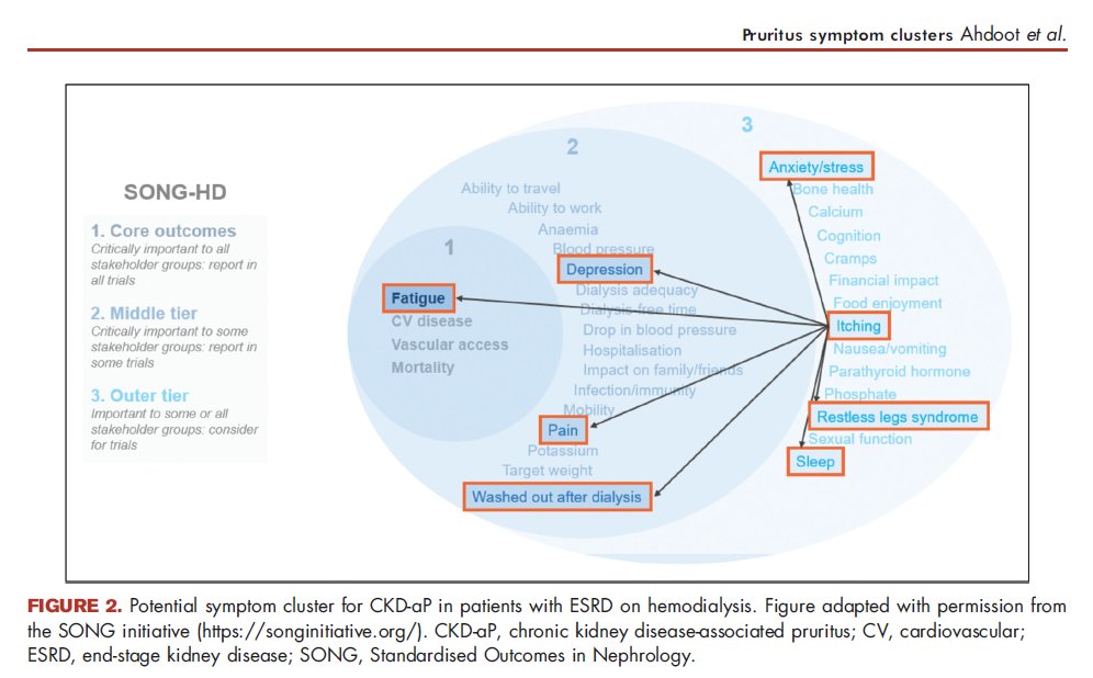 kamkalantar's tweet photo. Novel approach to unpleasant symptom clusters surrounding pruritus in patients with chronic kidney disease and on dialysis therapy
Current Opinion in Nephrology and Hypertension
https://t.co/JZGQwZlRiu
@lippincott #pruritus #CKD #CONH #SymptomCluster https://t.co/hfvuEOhXle