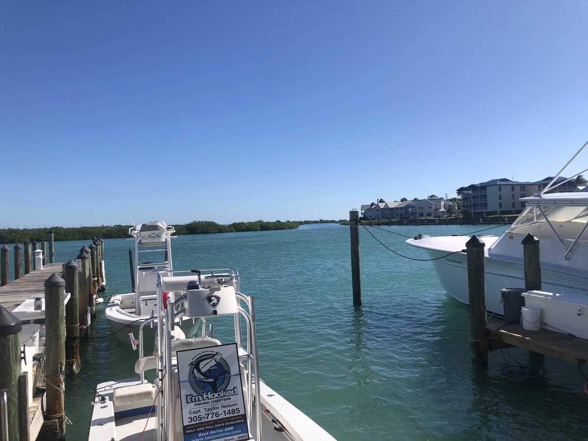 ron_pataky's tweet photo. Good morning from #duckkey https://t.co/YLq58fBDdb
