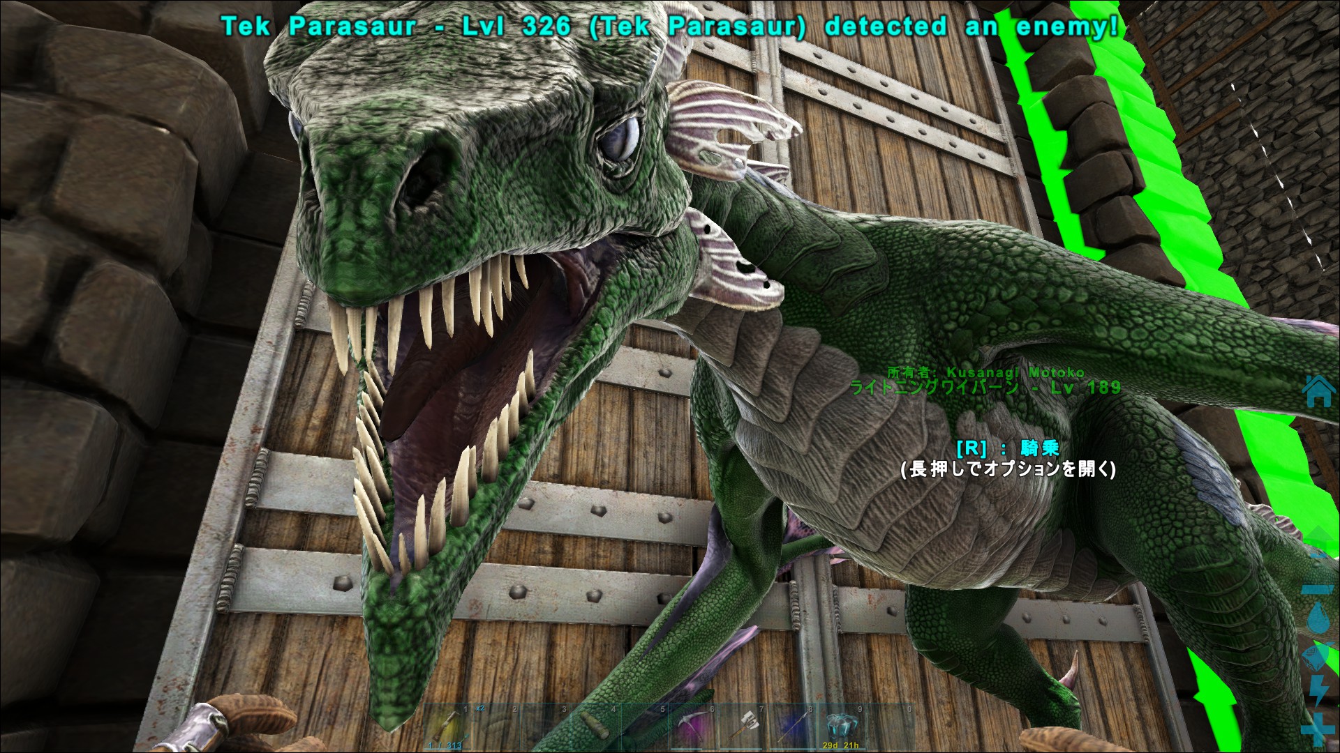 草薙素子 Ark 交配ワイバーンのブリーディング２頭完了 緑の子は実は三つ子姉妹 ミルクを4回採れたので妹たちも育ててます チャリティーに合わせたブリーディング速度10倍は午前2時までかな その後は9日 日本は少し10日にかかる までハロウィンの3