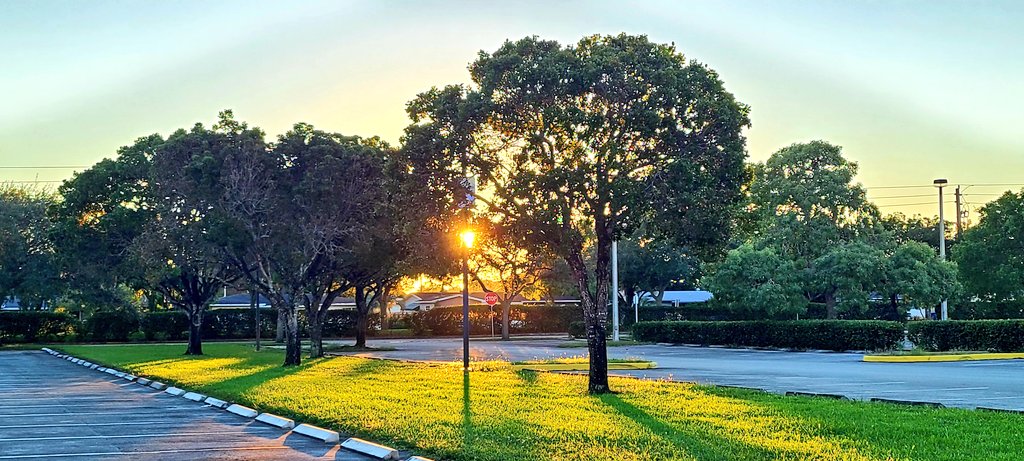 GessnerREAgent's tweet image. Glorious morning in #pembrokepines 55° #perfectweather #followthepinkcar #blueskies #welivehere #welivewhereyouvacation #SundayFunday 🙏 #alabanza