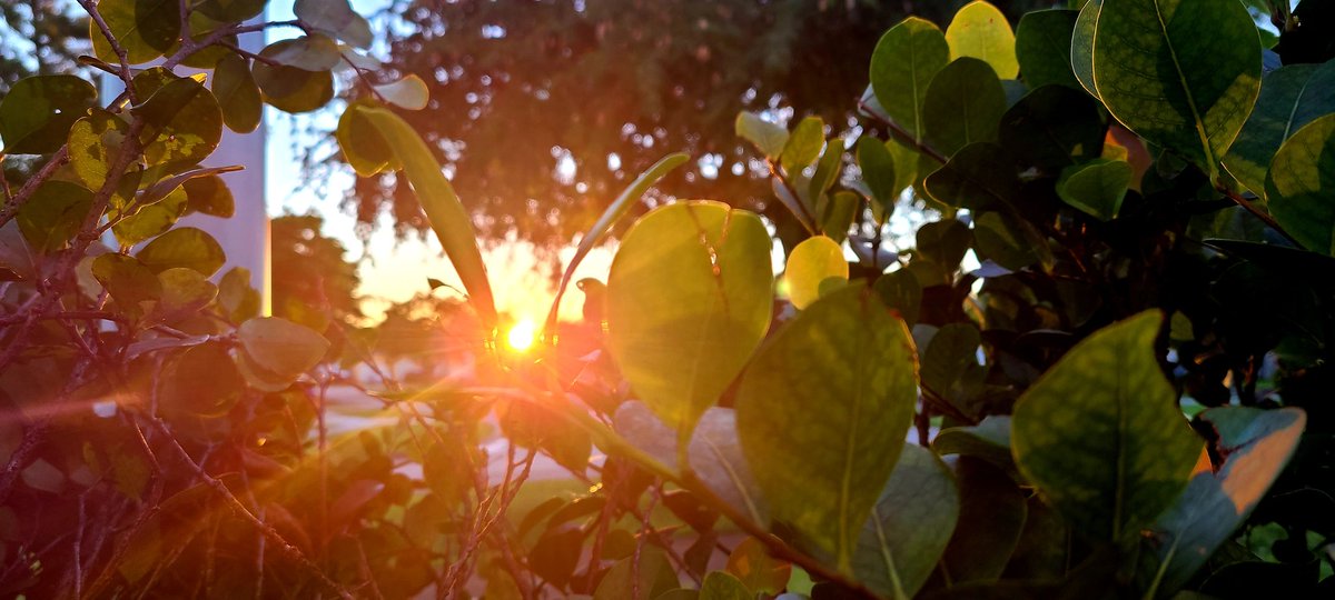 GessnerREAgent's tweet image. Glorious morning in #pembrokepines 55° #perfectweather #followthepinkcar #blueskies #welivehere #welivewhereyouvacation #SundayFunday 🙏 #alabanza