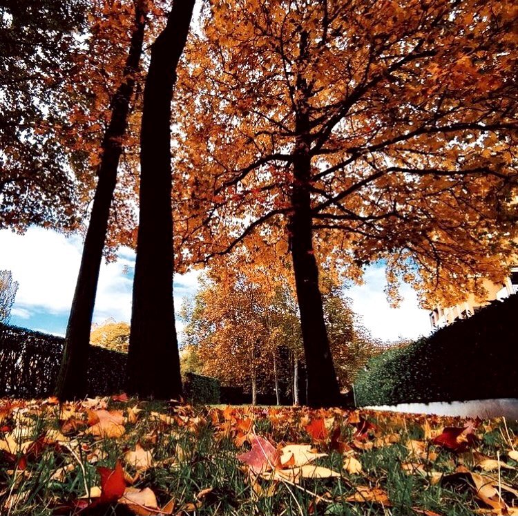 LauraGi__'s tweet photo. ππ§‘ππβ₯οΈ
ππ ππ ππππ πππ ππ¦π ππ ππ ?
ππ π§πππ π€π ππ π ππ ππ π£π πππ πππ€ππ ππ π
#autunno #fallinlovewithautumn π https://t.co/AZIQJCexrI