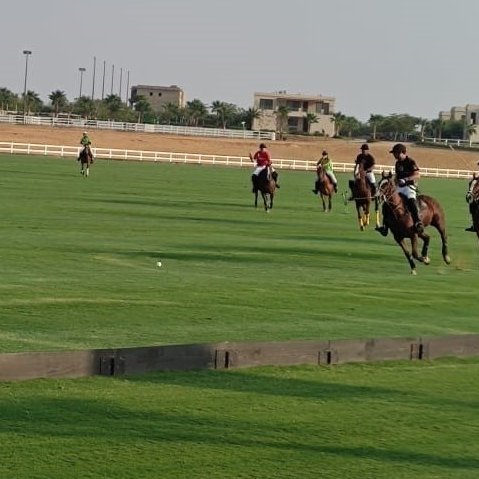 Gareth Bayley tweet media