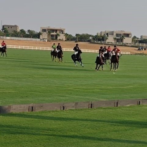 .<a href="/BritishArmyPolo/">British Army Polo</a> returned to #Cairo on Friday, playing the team from King's Polo Academy. An exciting, competitive match, ending in a well-deserved draw - both teams were fantastic. Thanks to the players for their sportsmanship, and to King’s for hosting #polo 🏇