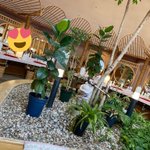 ツイートに含まれる画像