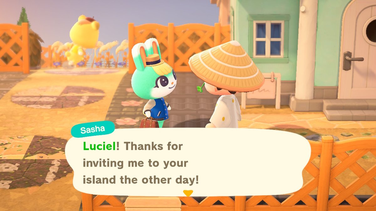 giodipii's tweet photo. 156 nmts to find Sasha. im tired but happy #acnh #animalcrossing https://t.co/oS1oNXS8i6