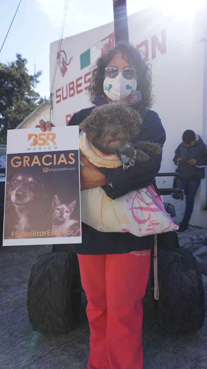 Brigada Sin Raza tweet media