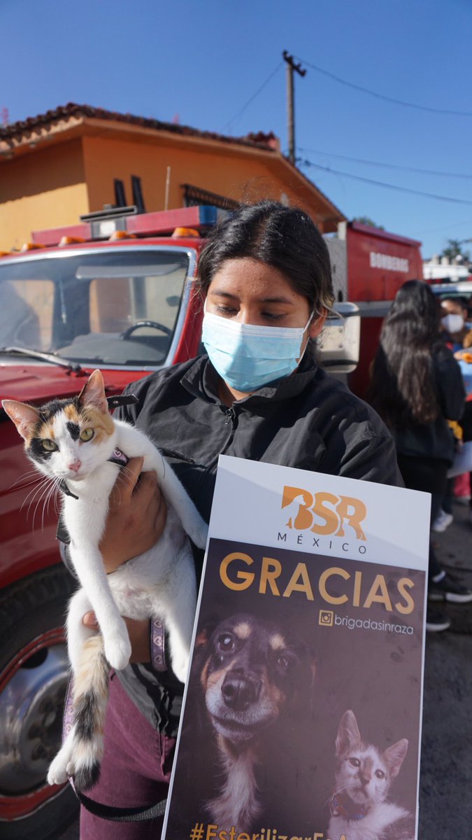 Brigada Sin Raza tweet media