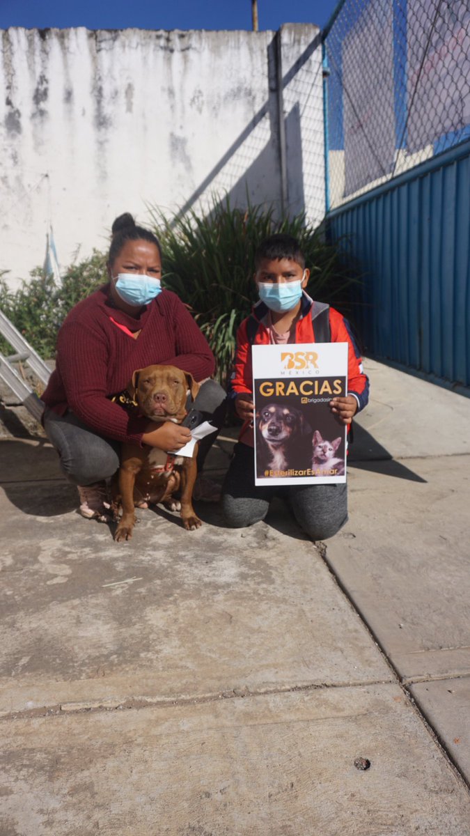 Brigada Sin Raza tweet media
