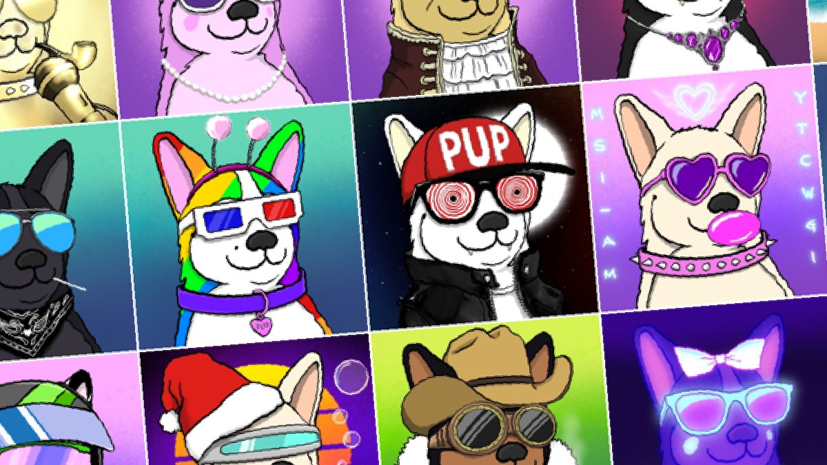 🥳 Today’s the day! 

Tweet me your fav #PFP #NFT from the <a href="/pupper_token/">Pupper</a> drop once it goes live at 19:00 UTC!

Make sure you have more than 10B $PUP in your wallet, or you’ll have to wait till tomorrow (and pay twice as much) to get in on the fun 🤫!

pupper.info
