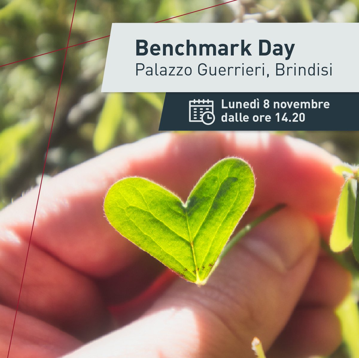 Invitalia's tweet photo. 🚀 Domani #8novembre è #BenchmarkDay al #BravoInnovationHub di Palazzo Guerrieri a #Brindisi!
Un confronto fra big player nazionali e internazionali sull'#agrifood.
📹La diretta dalle 14.30 sulla nostra pagina Facebook, fai clic su "ricevi promemoria" https://t.co/hoO8KdKypW https://t.co/FUwXfvMBR9