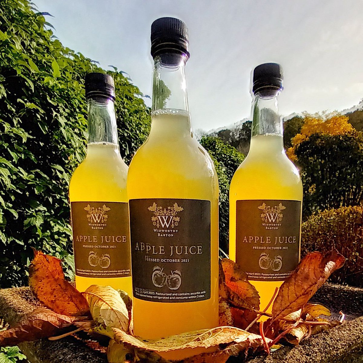 Our 2021 apple juice is ready to gift to our guests.  Made from apples grown in our orchard and pressed on site.  A lovely, natural product we are proud to produce.
widworthybarton.co.uk
#applejuice #harvest #juice #holiday #holidays #devonholiday #naturalproducts #selfcatering