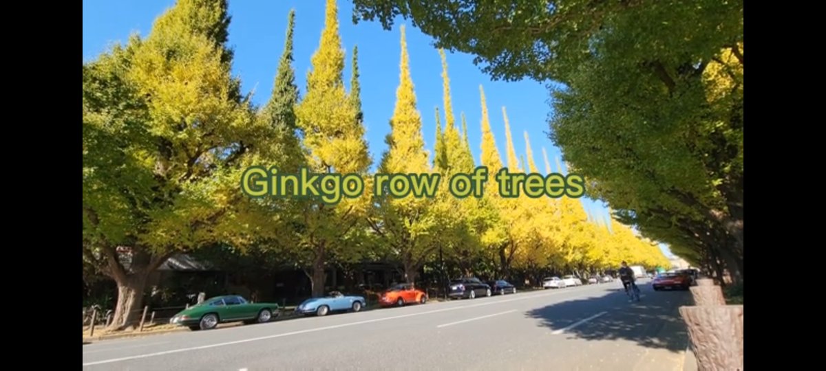 ミッドナイトクルーズ (@midnightcruiset) on Twitter photo 