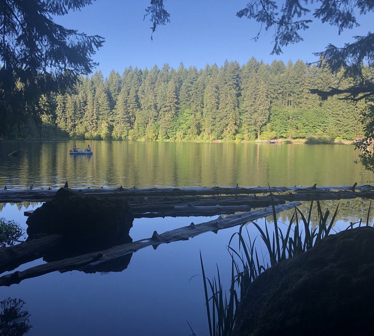 ParksforClark's tweet photo. Washington State Parks is featuring two FEE FREE days this month—Thursday, Nov. 11 and Friday, Nov. 26. These are great opportunities to explore different scenery across Washington state. Learn more and find a park here https://t.co/ijnbqmiv76
#ClarkCountywa #goplayvancouver https://t.co/CHqde2qzqn