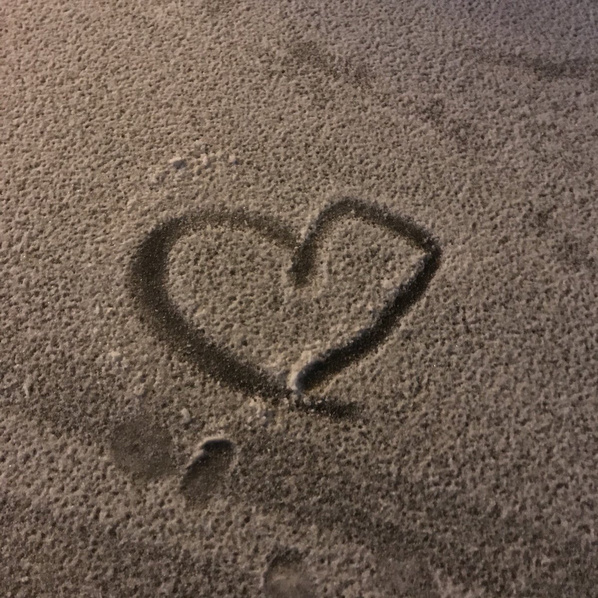 X_Wildwind's tweet photo. 跟我去东北吧 那里正下着雪
让我用滚烫的灵魂 在冰上撒���野 https://t.co/bs6vMkSe2i