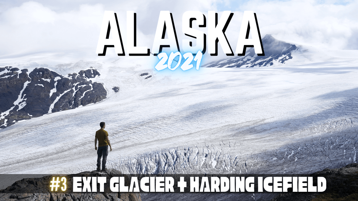 chrisontour84's tweet photo. The third Alaska video covers my favourite spot landscape wise, hiking to the incredible Harding Icefield from the Exit Glacier😃Its sooo worth hiking up there! Must do.
📺https://t.co/PUMdZl3IXv
#usa #alaska #alaska2021 #seward #kenai #hardingicefield #exitglacier #glacier https://t.co/2db4fai3Rn