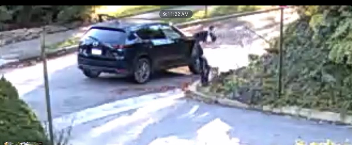 Isaac Yitzy Schleifer tweet media