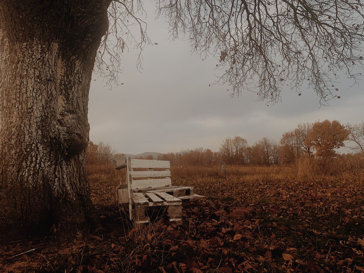 53° 18′ 33″ N, 110° 4′ 21″ W tweet media