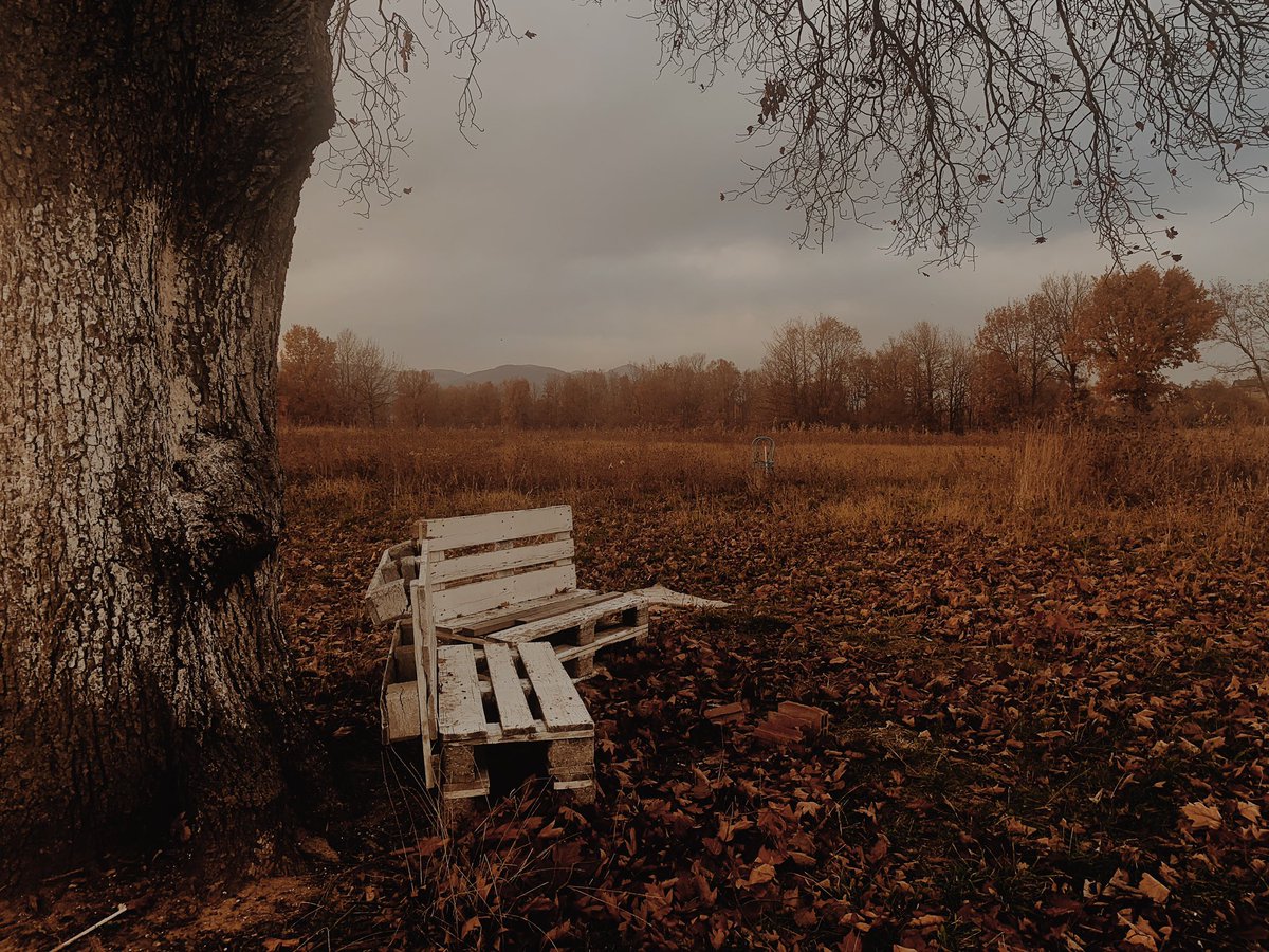 53° 18′ 33″ N, 110° 4′ 21″ W tweet media