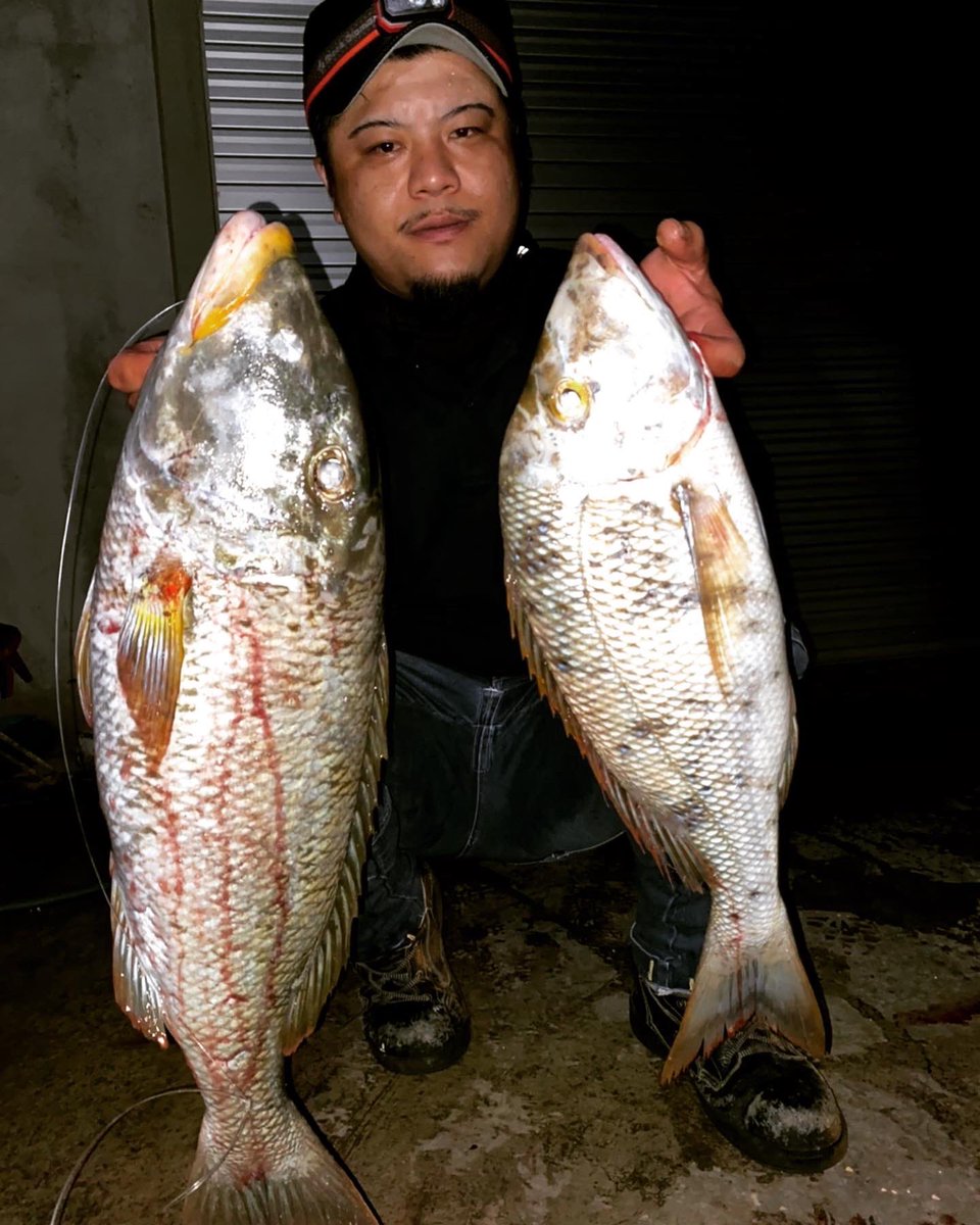 KENtaman80's tweet photo. ムネアカ記録更新!!
76㎝4.7㎏
これがタマンだったらなぁ〜笑笑
#feedman
#宮古支部
#ムネアカクチビ
#タマン https://t.co/hlcyzUAiDV