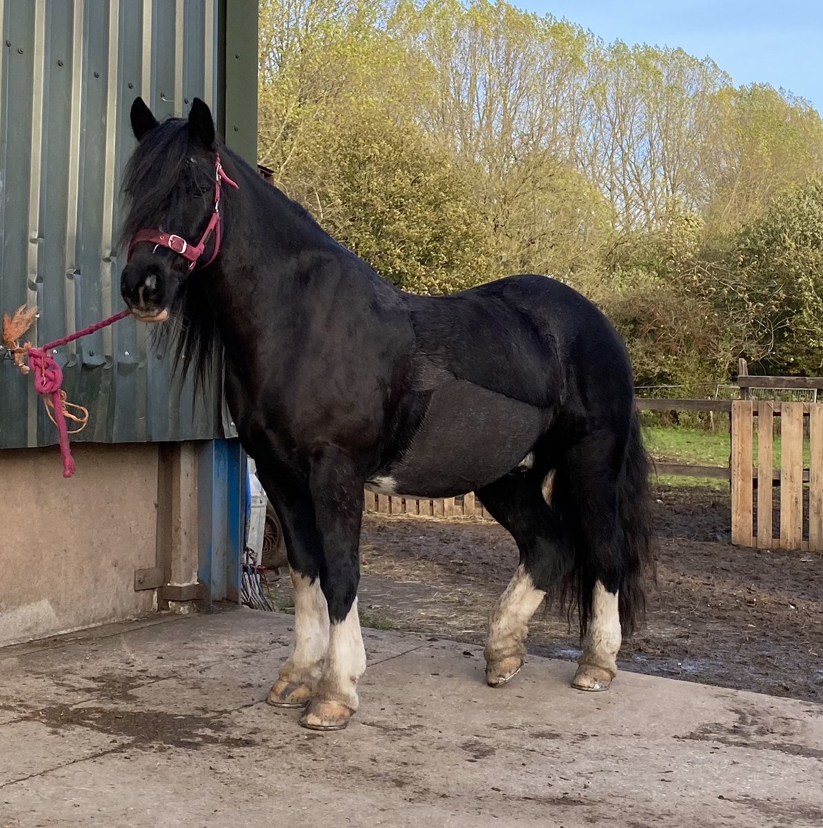 My gorgeous therapist 💞☺️