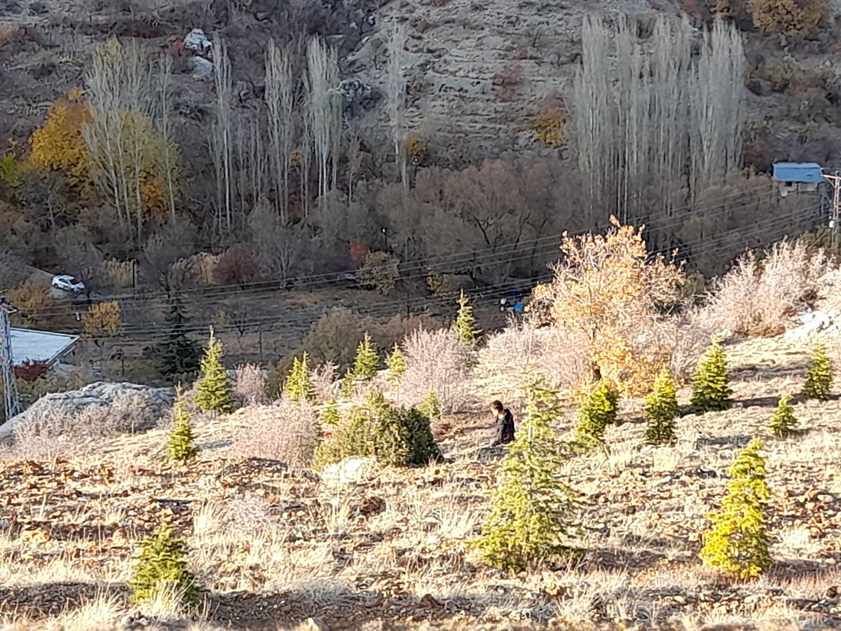 Var olan her şey birbiriyle  irtibatlıdır. #MeremDere