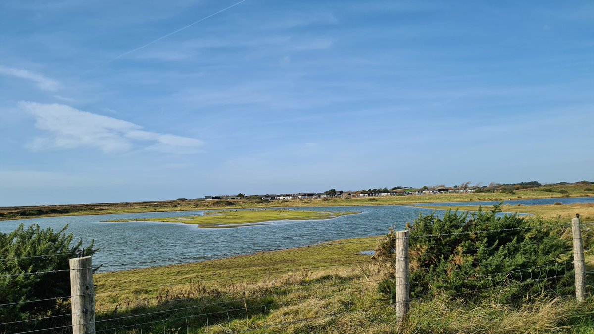 A great walk guiding with <a href="/RSPBPagham/">RSPB Pagham Harbour</a> today at Medmerry  with <a href="/bubomike/">Mike Prince</a> and <a href="/wildaboutsussex/">Rob Yarham</a> highlights included 3 Glossy Ibis, a single Spoonbill and a ringtail Hen Harrier across the reserve