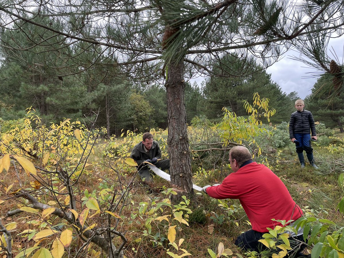 annemiekeopthof's tweet photo. Ik ben vast niet de enige met her en der een spierpijntje…. Het was gister een mooie @NatuurwerkdagNL op #Vlieland 💪🏼🌲🪵🌿 bedankt iedereen die er bij was! #zoekdeverschillen https://t.co/rVfcx4JYeB