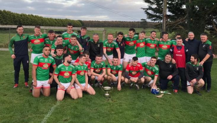 Celebrations for the <a href="/BirrCLG/">Birr GAA</a> panel following their one point victory over  Shamrocks in the Offaly Intermediate Hurling Championship final