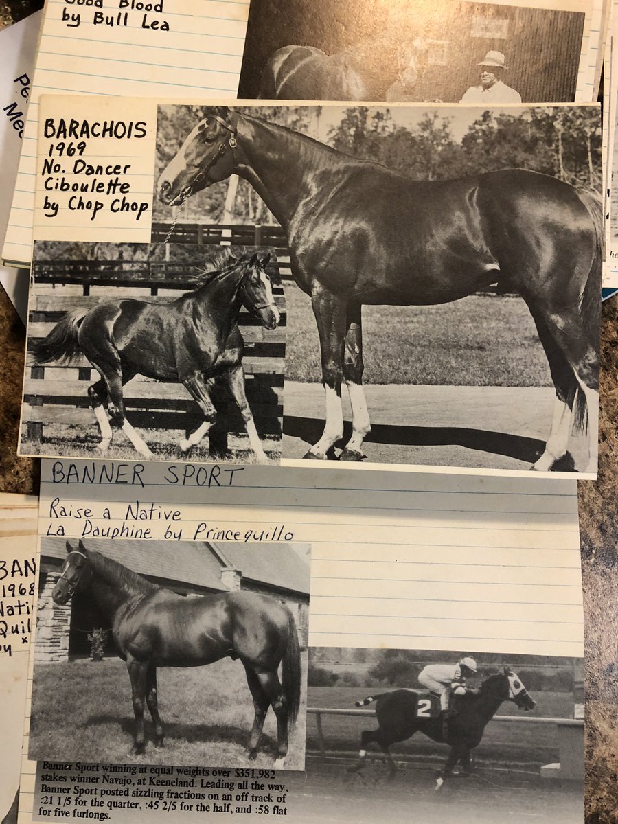 JackpotNick's tweet photo. A son of the great #NorthernDancer produced by #Windfields’ E.P. Taylor - Barachois🧐 what does that French name mean? https://t.co/wivdEe1PEc