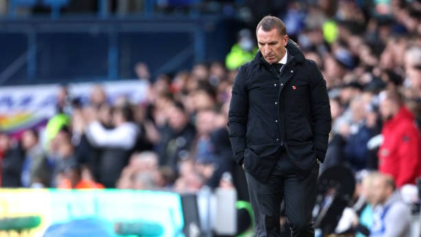 🇨🇦🦊Maple Foxes🦊🇨🇦 tweet media