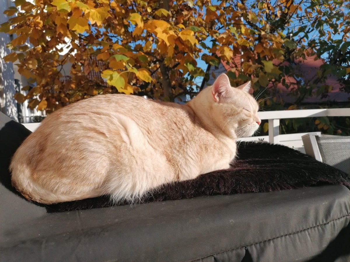 DimitriWischnev's tweet photo. #AlilBit #SundaySunbath #EnjoyUrSunday #Worldwide ur #Dimitriโ๐ป๐ผโ๐ฝ https://t.co/MMJ3eWoMJL