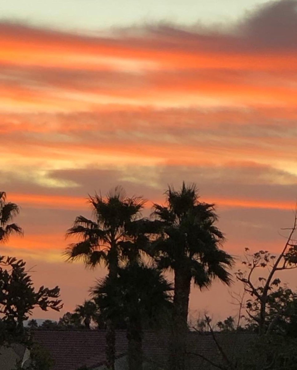 Neil_Nevitt's tweet photo. #Sunrise #PalmSprings https://t.co/Fwt8M7GbQL