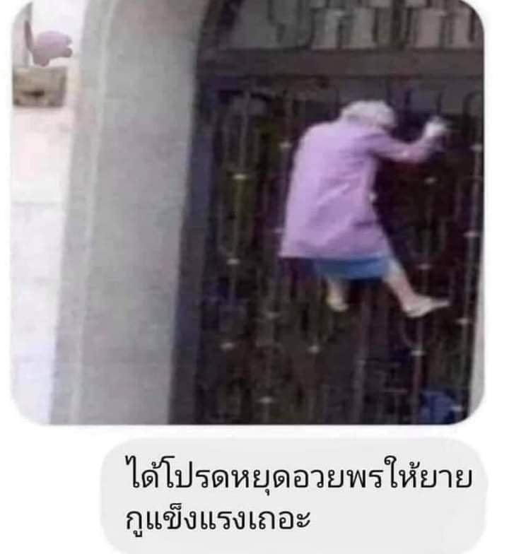 ขอทวิตนี้ไม่ฝากร้านกันนะ อยากอ่านโมเม้นยายคนอื่นบ้าง ชอบมาก นี่ก็คิดภาพไม่ออกเหมือนกันถ้าบ้านขาดยายไปจะเป็นไง แค่คิดนะเพราะถ้าพูดเดี๋ยวหาว่ากุแช่งอีก แต่ยายห้ามตายก่อนหนู
