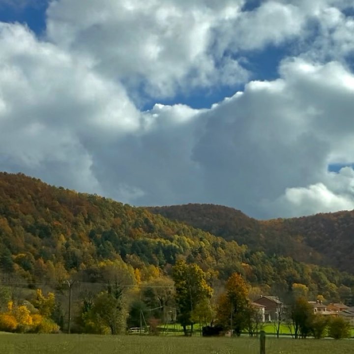 ninako_chi's tweet photo. 🍂🍁🍄 https://t.co/LKl2JAbbxk