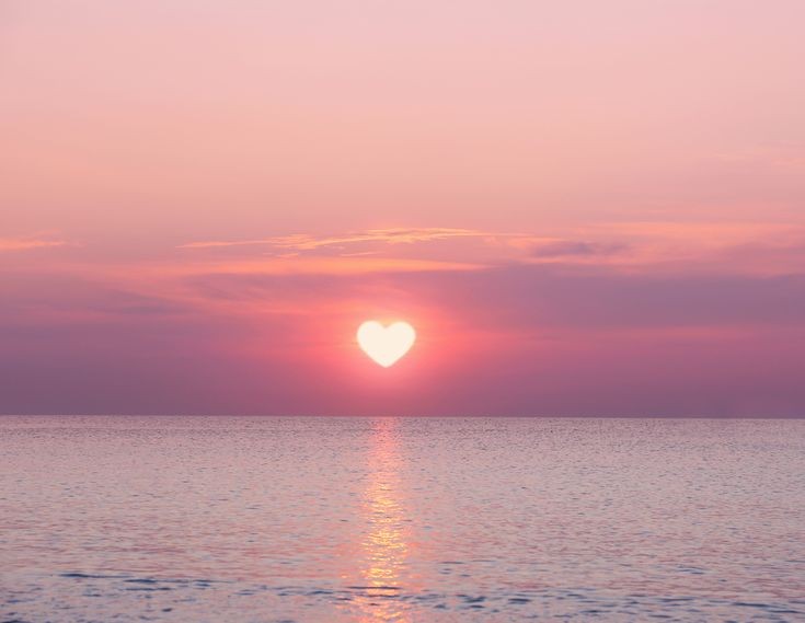 ♡︎ 𝚕𝚞𝚕𝚞'𝚜 ♡︎ tweet media