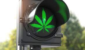 TimoVierZwanzig's tweet photo. Die Ampel steht auf grün. Ihr wurdet gewählt, jetzt liegt es an euch etwas zu ändern! #LegalisierungJetzt https://t.co/mP0HnQQbZd