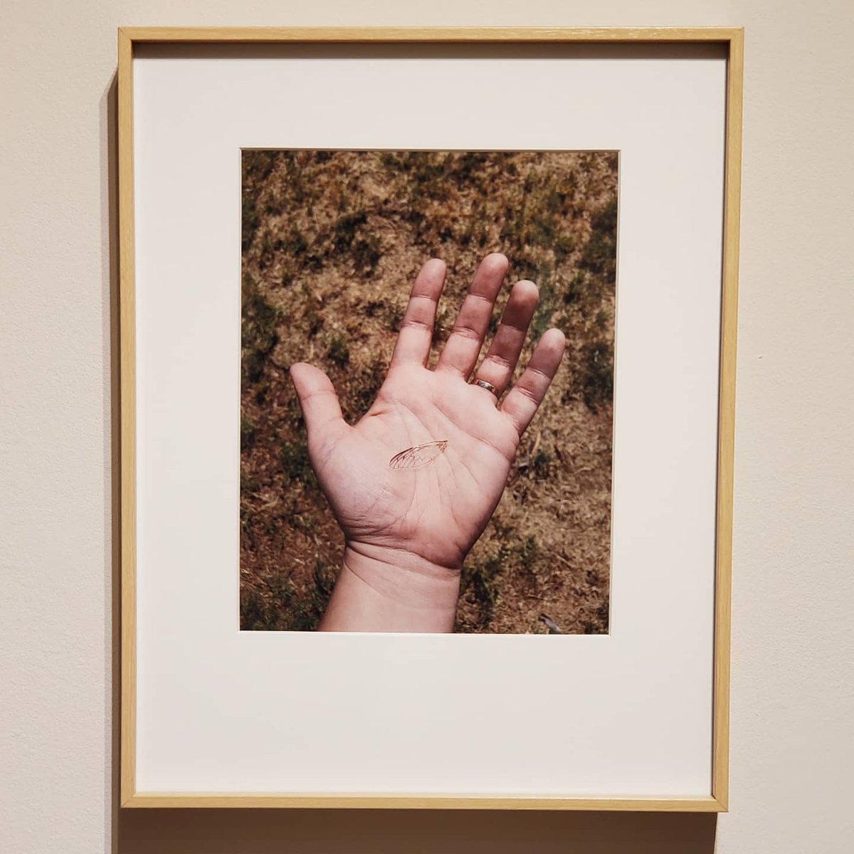 GinaDeGideo's tweet image. Today is the LAST DAY to see my show &quot;What is Left&quot; at @eyelounge! It&apos;s my last day being a part of this special collective so come by and say 👋
#sundayfunday #whatisleft #downtownphx #azartists #artgallery #artexhibit #lifecycle