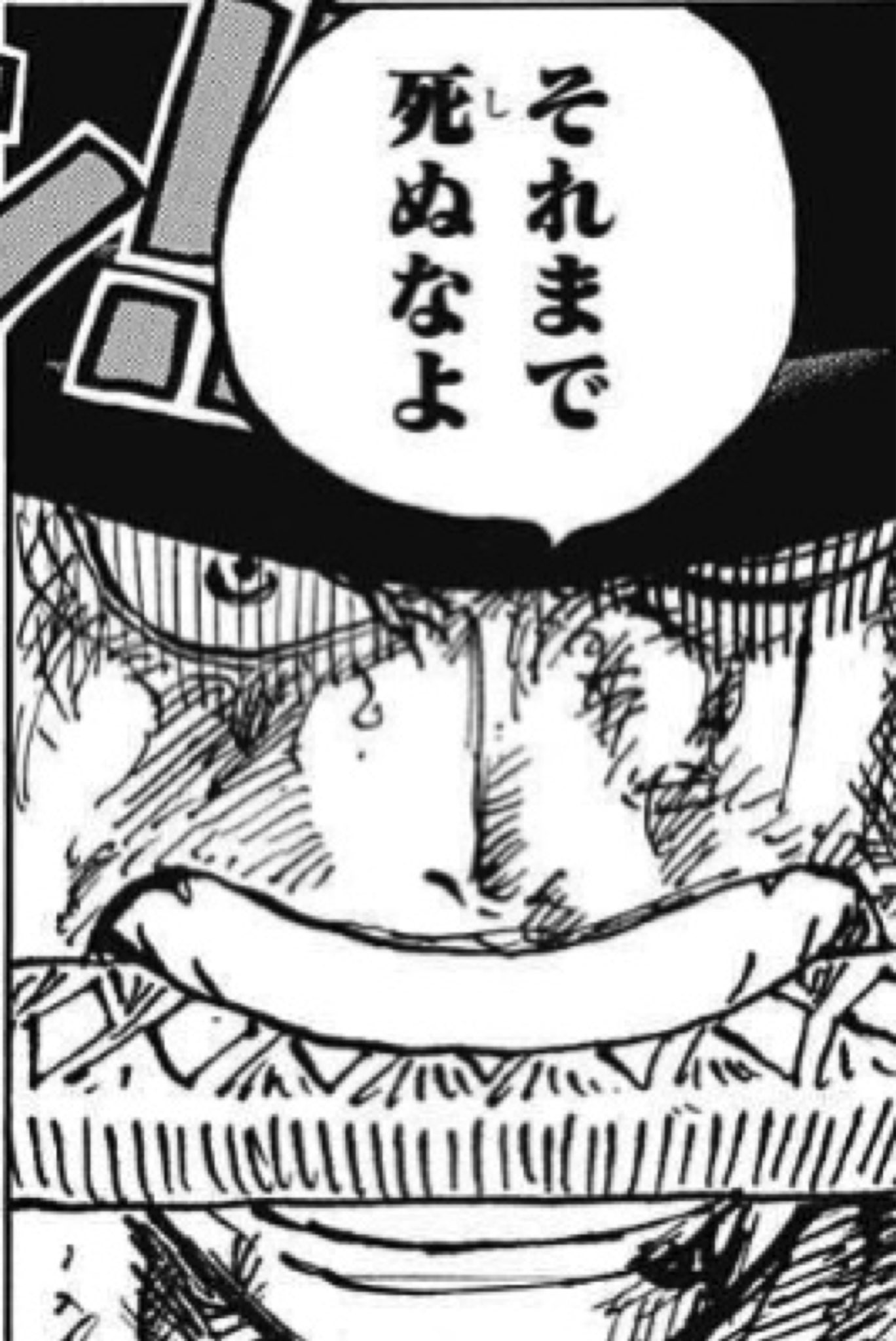 ふ 正気でいろ じゃなくて 死ぬなよ ってセリフは サンジが人に危害を与えるなら自決するような優しい奴なこと 他の仲間が殺すことはできないしサンジもそれを望んでない ゾロの仲間に対する覚悟を1番理解してるのはサンジである これらを理解し