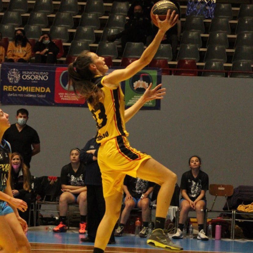 RadarAustral's tweet image. LNF: UFRO suma su tercera victoria y Escuela Alemana de Paillaco mantiene su invicto.
Revisa la nota aquí👇
➡️bit.ly/2YnYYpM
📸Escuela Alemana de Paillaco