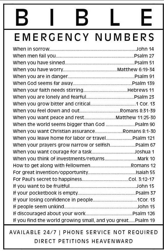 Shdv509's tweet photo. 🌲Praise The Lord📖 https://t.co/nwrhp7n5Qu