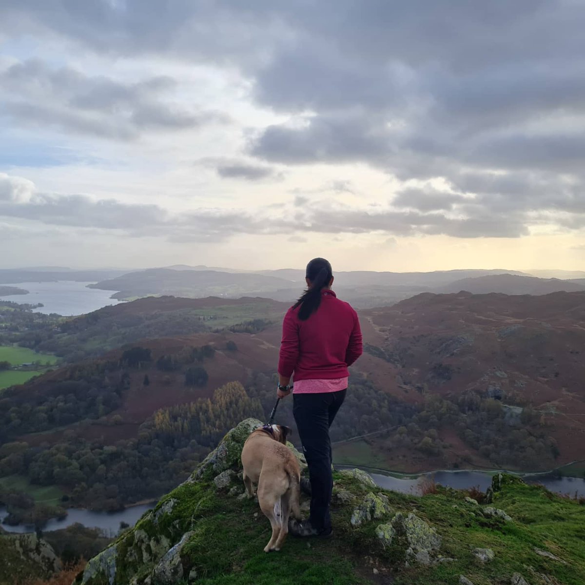 _YY125's tweet photo. Grasmere , Rydal Hall, Nab Scar, Alcock Tarn and back to Grasmere - 6.83miles. 🐕👩🏻🤝👨🏽🍁🍂
@images_lake @FeatureCumbria #LakeDistrict #NabScar #RydalHall #Grasmere https://t.co/JcI25tUdEE