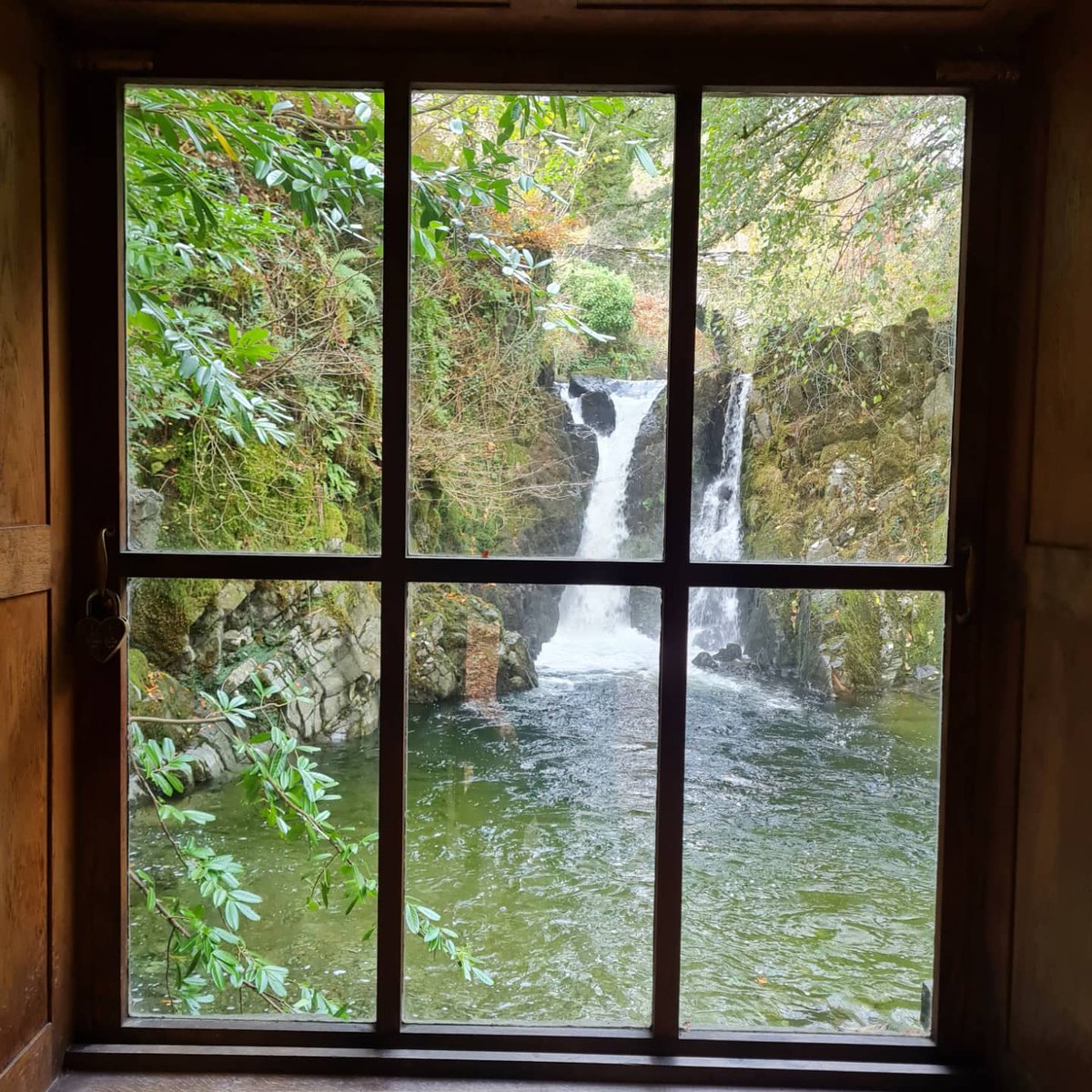 _YY125's tweet photo. Grasmere , Rydal Hall, Nab Scar, Alcock Tarn and back to Grasmere - 6.83miles. 🐕👩🏻🤝👨🏽🍁🍂
@images_lake @FeatureCumbria #LakeDistrict #NabScar #RydalHall #Grasmere https://t.co/JcI25tUdEE
