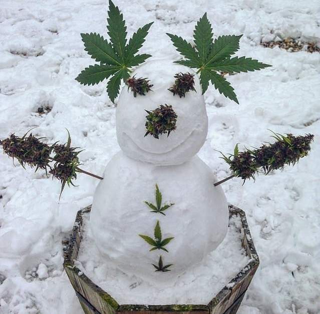 Testostyrann's tweet photo. #LegalisierungJetzt damit es im Winter mehr Abwechslung gibt. https://t.co/5QXKx6CPsj